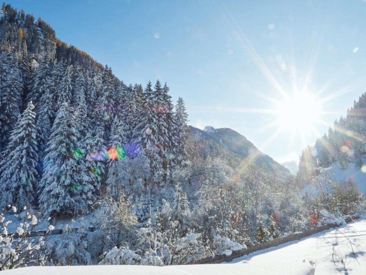 Haus Am Wildbach Lägenhet Neustift im Stubaital Exteriör bild